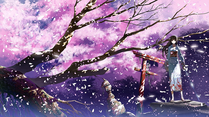 Best Cherry Blossoms Anime GIFs  Gfycat