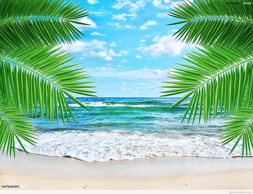 Летен плаж - фон на тропически плаж с висока разделителна способност -, красив летен плаж HD тапет