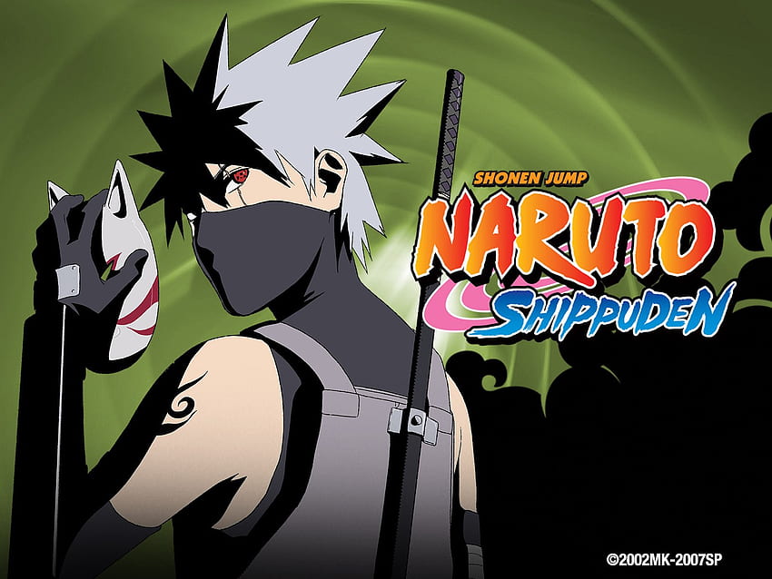 Ver Naruto Shippuden Uncut Season 4 Volume 1