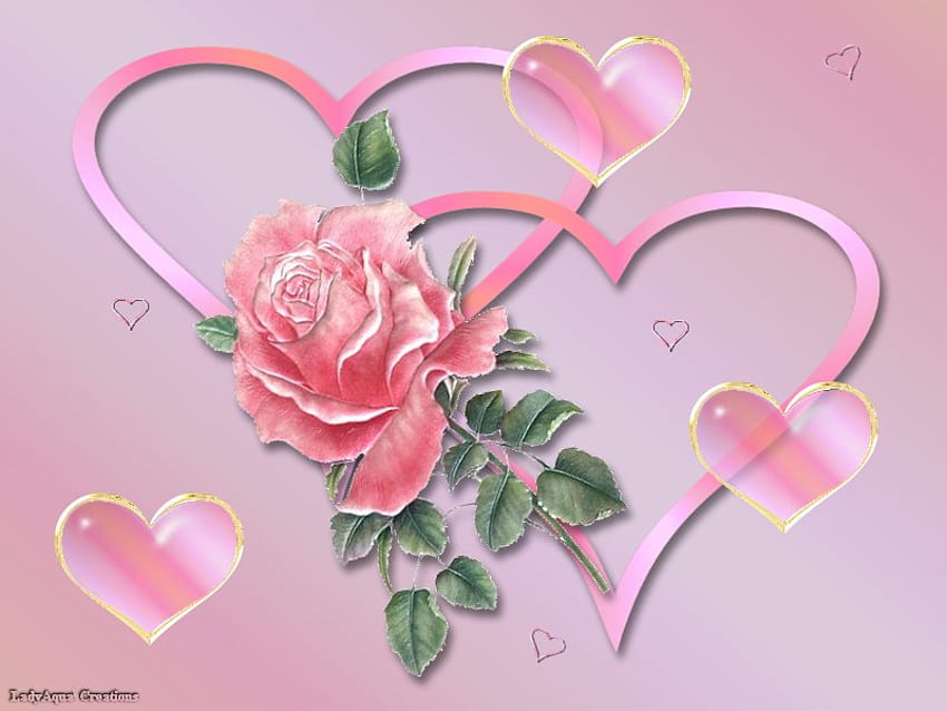 Pembe'de gül, kalp, aşk, çiçek HD duvar kağıdı