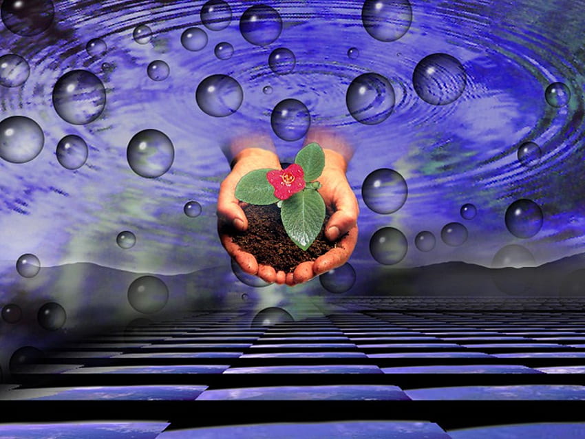 Precious life, blue, plant, new life, hands, sky, holding, bubbles HD wallpaper