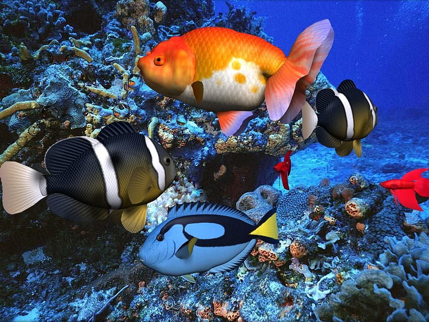 Google Result For Screenshots 3D Aqua Screens. Animated Screensavers,  Moving , Moving, Windows 8 Fish HD wallpaper | Pxfuel