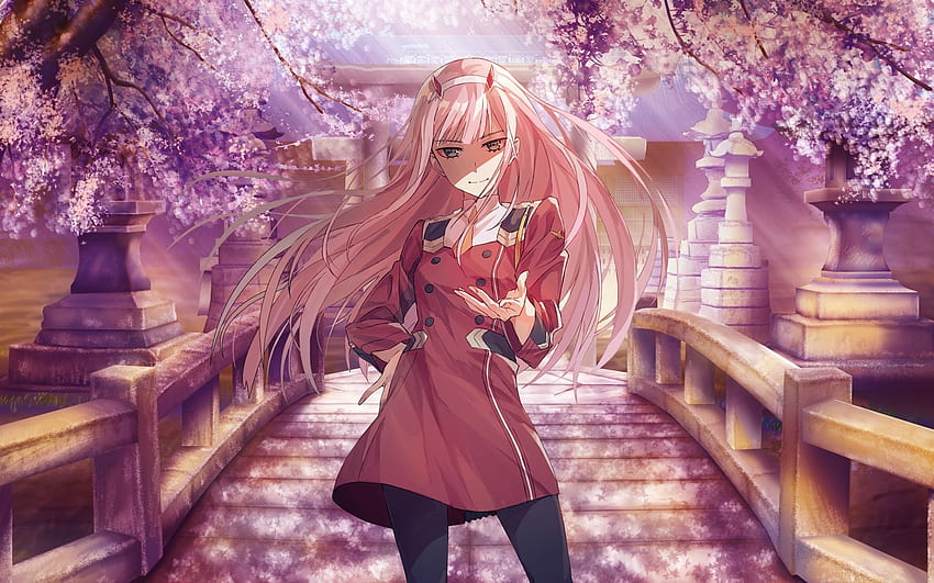 Beautiful, zero two, uniform, anime girl HD wallpaper