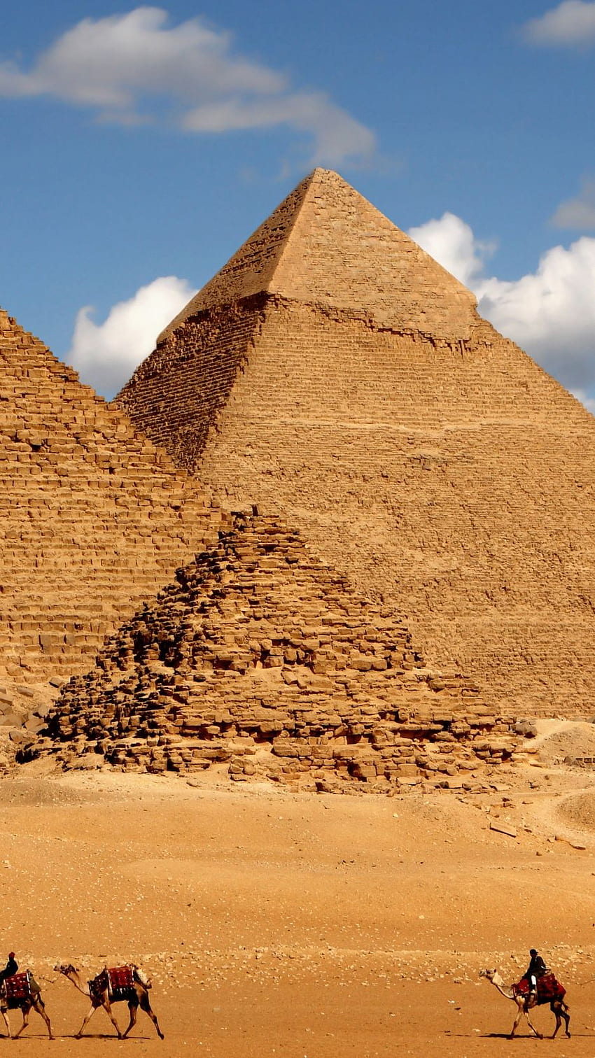 이집트, 피라미드, 낙타, iPhone 표준, 이집트 HD 전화 배경 화면