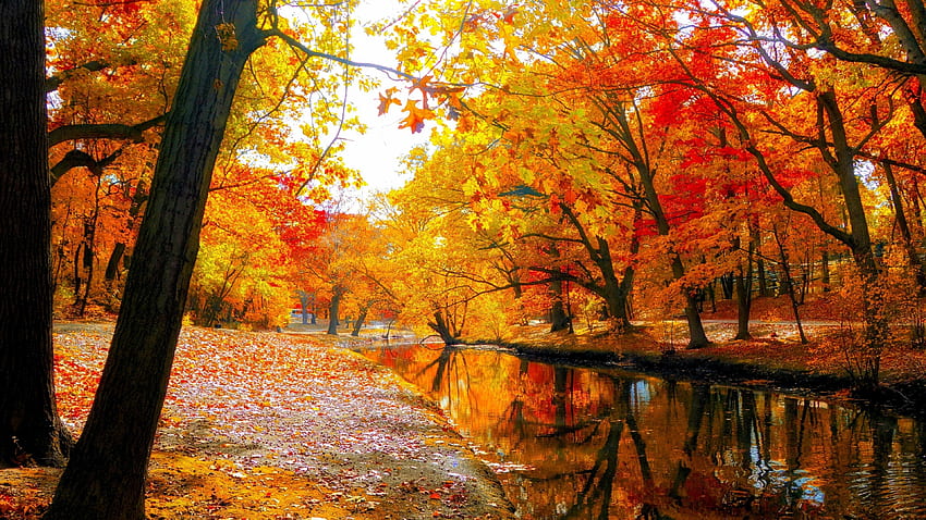 Musim Gugur, Sungai Mini, Daun, Pohon, 3840 X 2160 Musim Gugur Wallpaper HD