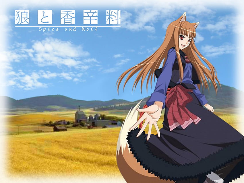 Holo ~ Spice & Wolf, spice and wolf, women, holo, anime HD wallpaper