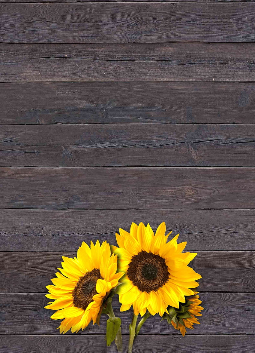 L'invitation de partie de Birtay de tournesol invitent le pays en bois rustique d'été de fleur jaune Southe. Printemps, été, fêtes de birtay de tournesol Fond d'écran de téléphone HD