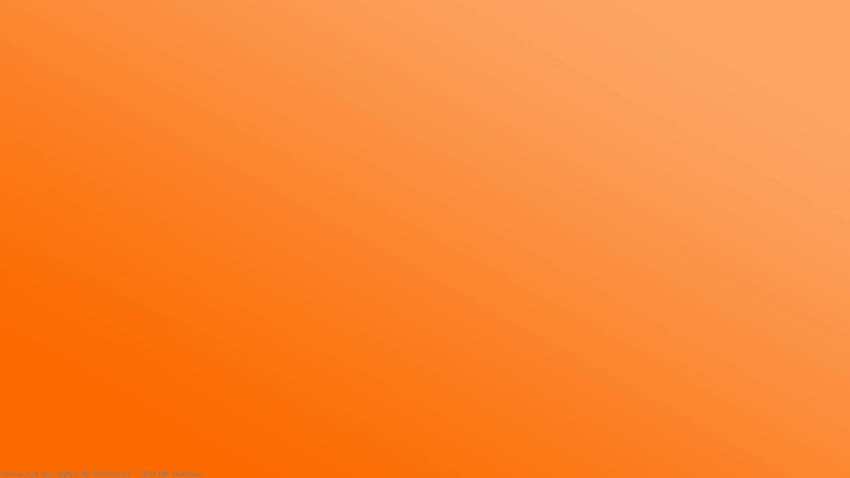 Plain-Neon-Orange-DFILES-%C3%97-Plain-Orange HD wallpaper