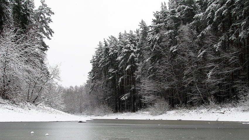 río, invierno, árboles, hielo, nieve, Invierno blanco y negro fondo de pantalla
