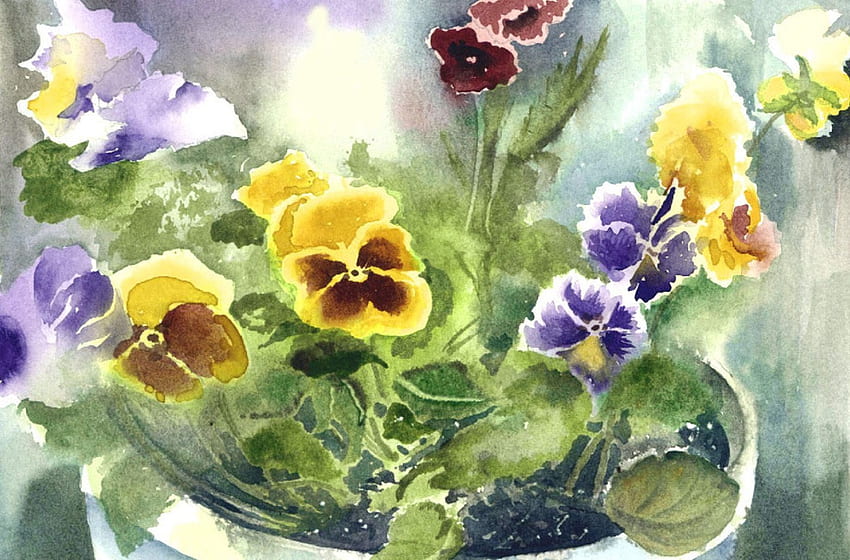Potted Pansies, amores-perfeitos, natureza, flores, vasos, primavera papel de parede HD