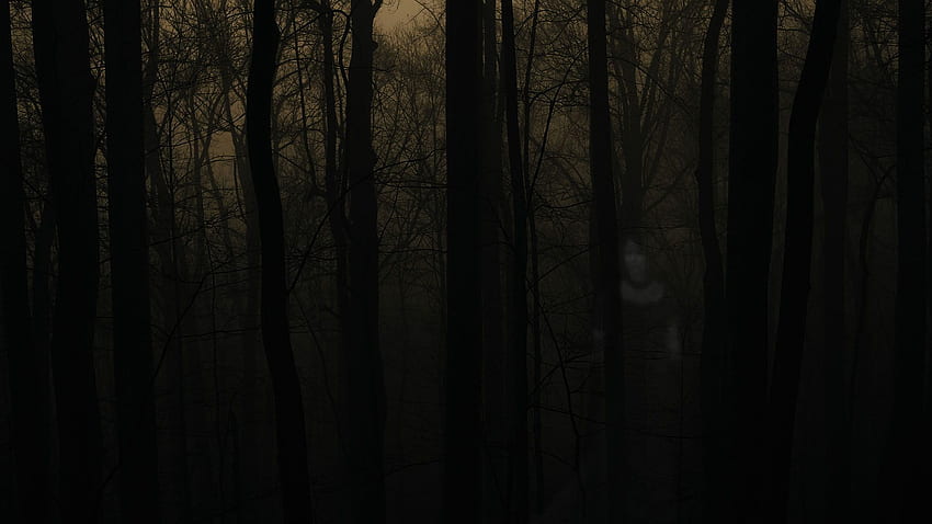 of Scary Forest, New 800×600 Creepy Forest Background (35 ). Ador. Forest , Haunted forest HD wallpaper