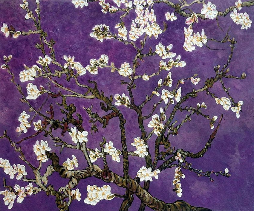 Vincent Van Gogh - กิ่งก้านของต้นอัลมอนด์ใน Blossom, Amethyst, Van Gogh Almond Blossoms วอลล์เปเปอร์ HD