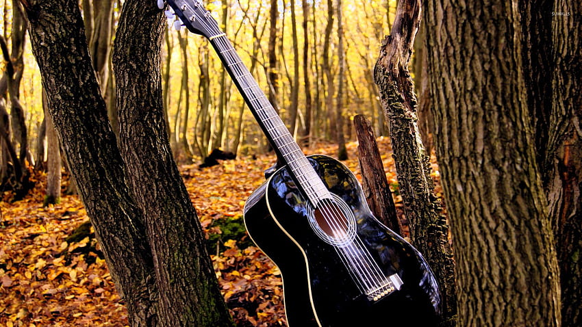 Gitar Country Keren Di Hutan . Musik , Gitar , Hutan Wallpaper HD