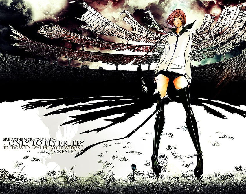 Simca, air gear, anime, sleepy forest, competition HD wallpaper