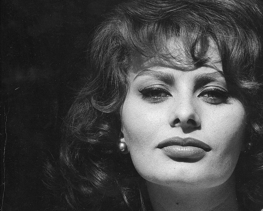 Sophia Loren fondo de pantalla