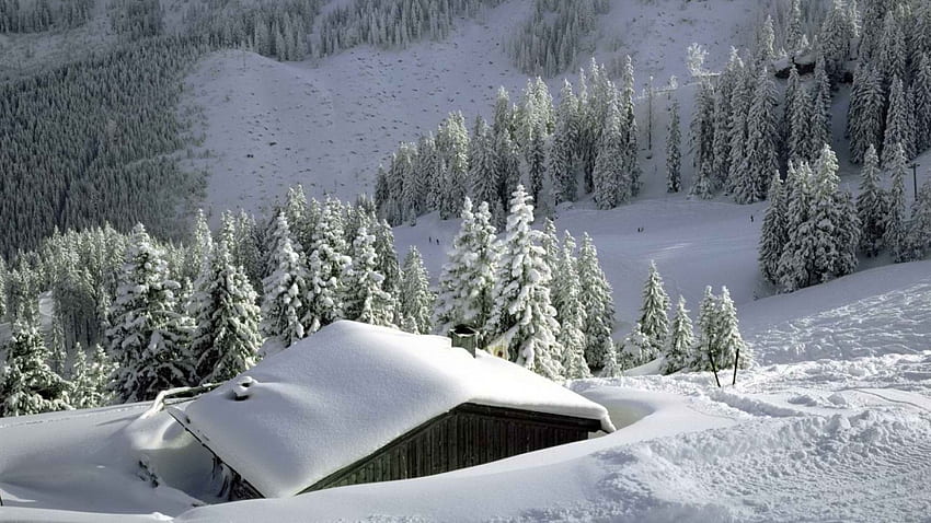 산, 겨울, 눈, 나무, 오두막, 산에서 오두막에 눈이 내 렸습니다. HD 월페이퍼
