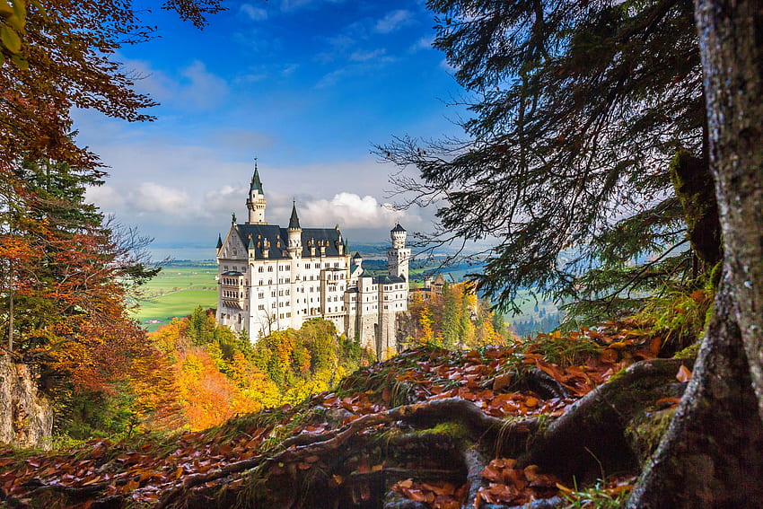 Château de Neuschwanstein en automne, arbres, vue, automne, Bavière, beau, château, Allemagne, Neuschwanstein Fond d'écran HD