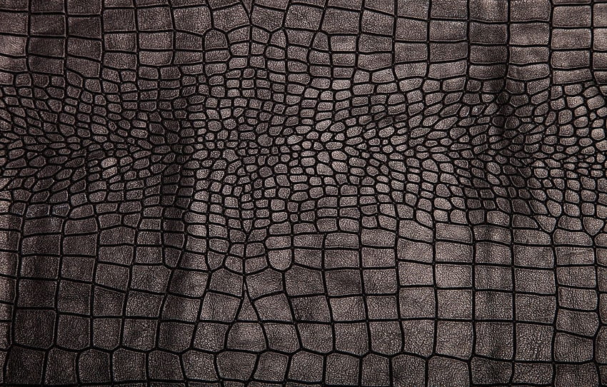 cuoio, nero, struttura, fondo, cuoio, pelle di coccodrillo per, sezione текстуры Sfondo HD