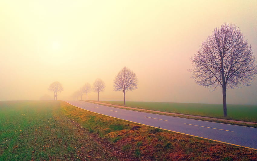 foggy day, dawn, sunrise, highway, road, Foggy Ultra Landscape HD wallpaper