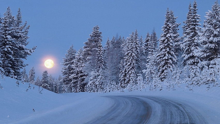 lua no inverno, inverno, árvores, estrada, lua papel de parede HD