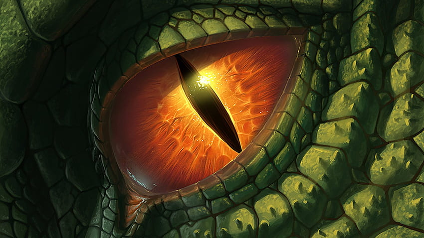 Dragon Eye, Green Dragon Eye HD wallpaper
