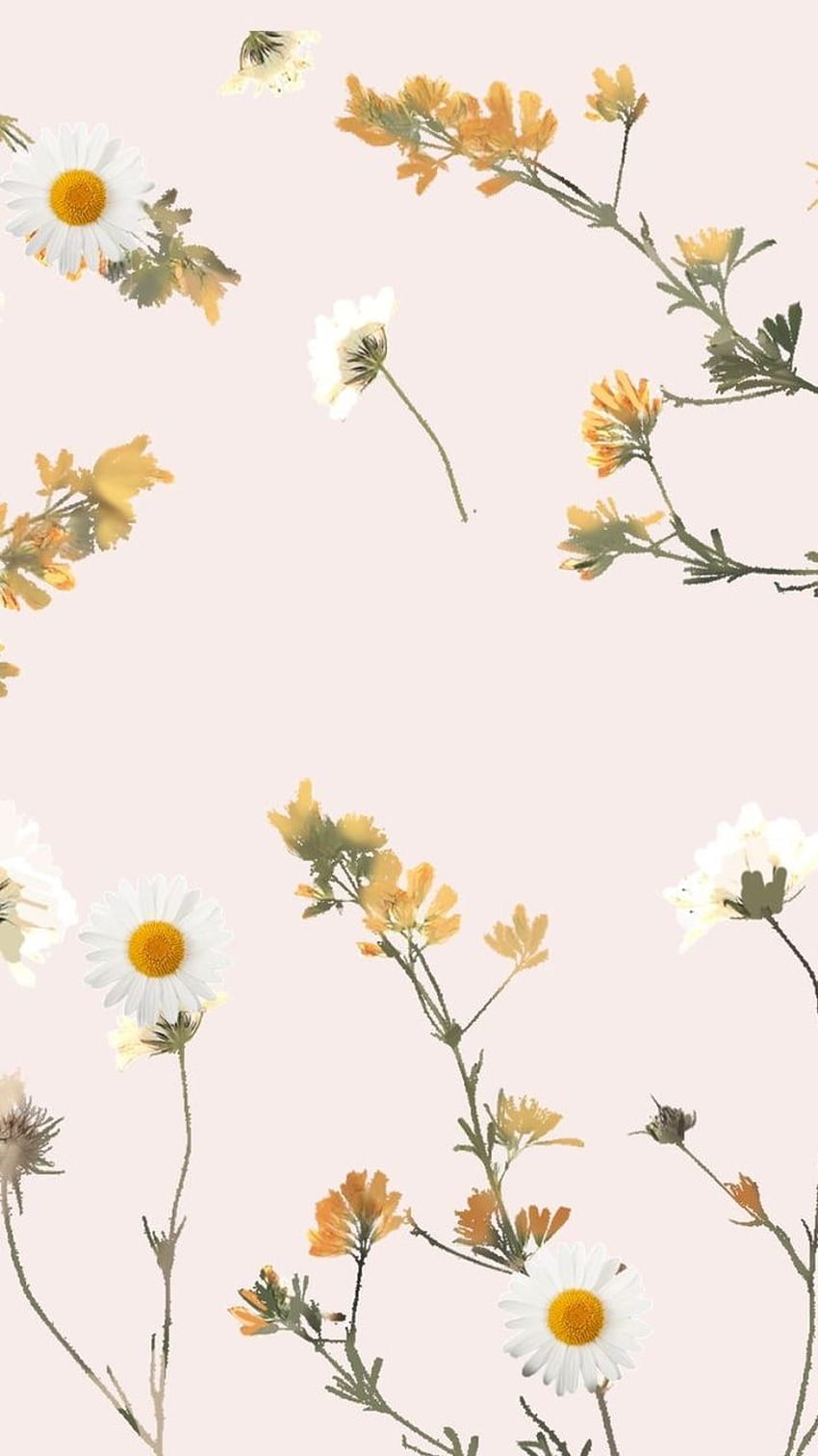 Simple Floral Phone aesthetic flowers simple HD phone wallpaper  Pxfuel