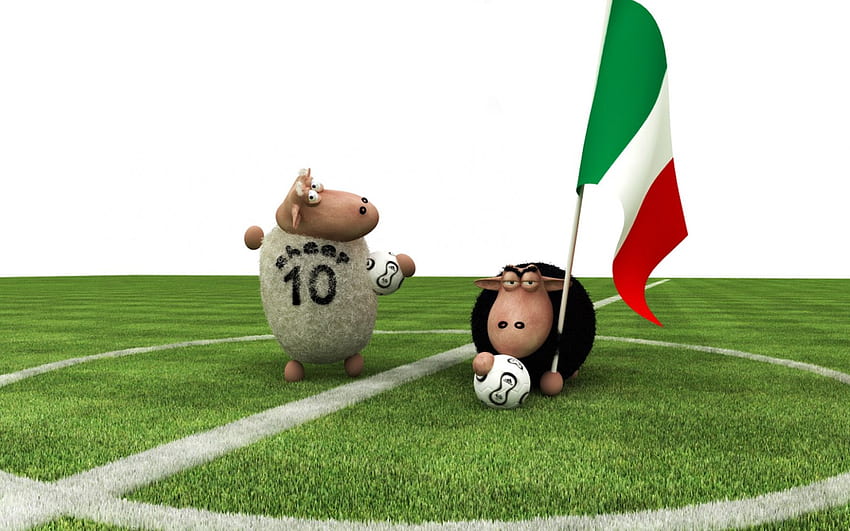 Sheap football, sheeps, football HD wallpaper
