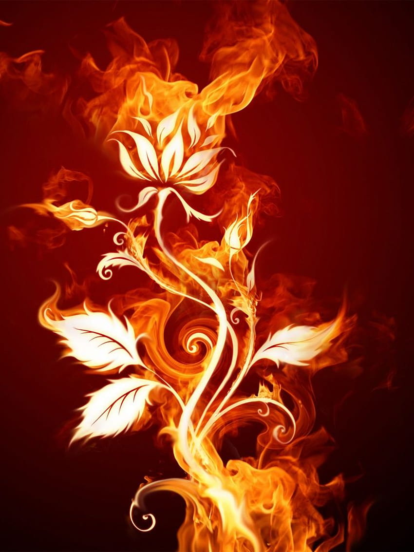 de archivo - Fuego ardiente Rose Flower - iPad iPhone fondo de pantalla del teléfono
