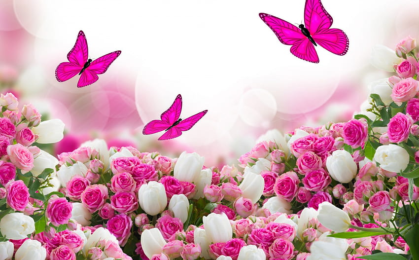 Cukup Indah, mawar, tulip, kupu-kupu, mawar, alam, bunga, bunga merah muda, kemegahan, bunga putih Wallpaper HD
