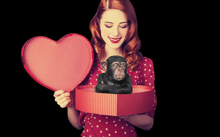 Маймунски бизнес, маймуна, сърце, кутия, жена HD тапет