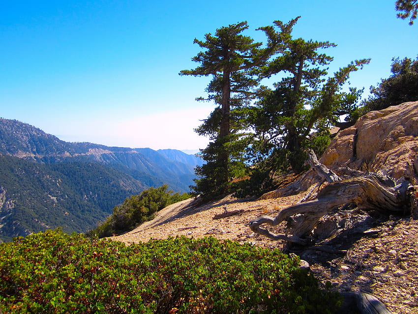 바위 언덕을 깎는 나무와 관목., 명상적이고, 아름답고, 고요하고, 영감을 줍니다. HD 월페이퍼