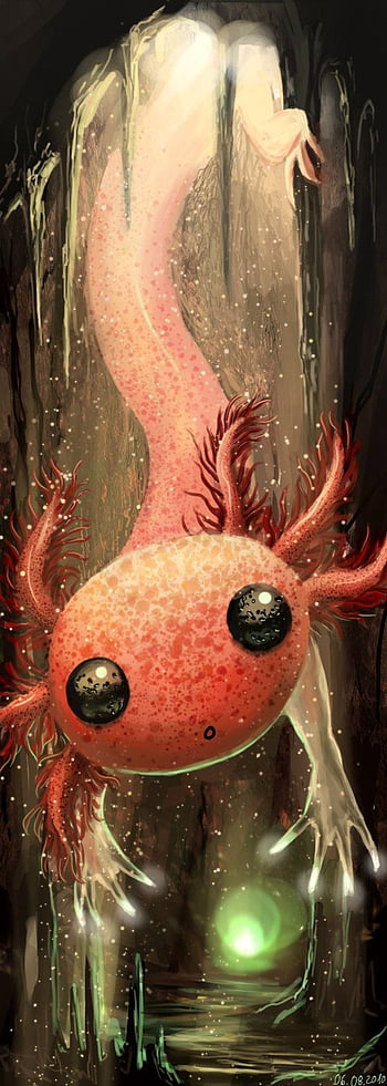 Teeturtle Axolotl Hd Wallpaper Pxfuel