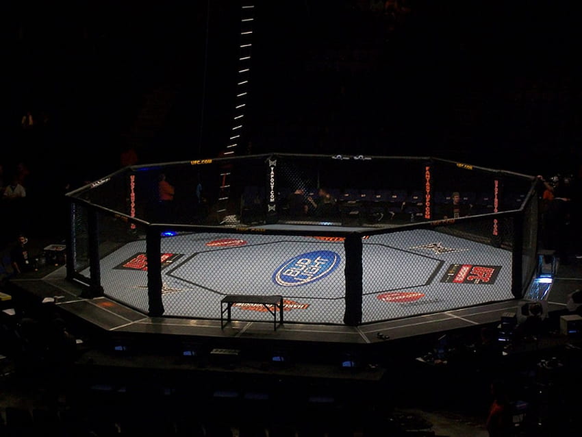 Aktuelle UFC- und Strikeforce-Kampfankündigungen, UFC Cage HD-Hintergrundbild