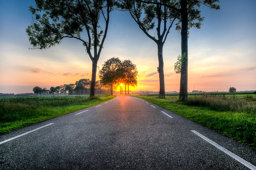 Road, highway, trees, landscape, sunset HD wallpaper