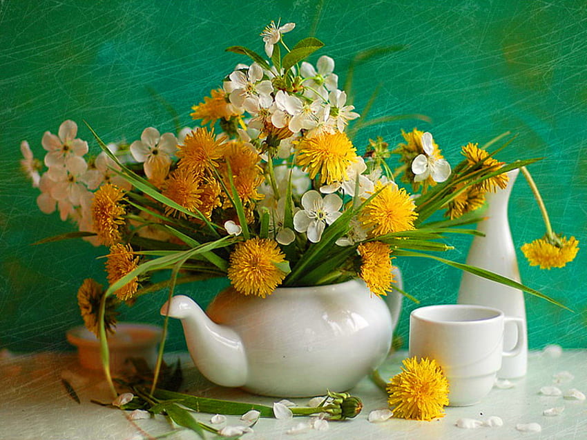 Nature morte, blanc, vase, gentil, délicat, joli, jaune, fleurs, charmant, harmonie Fond d'écran HD