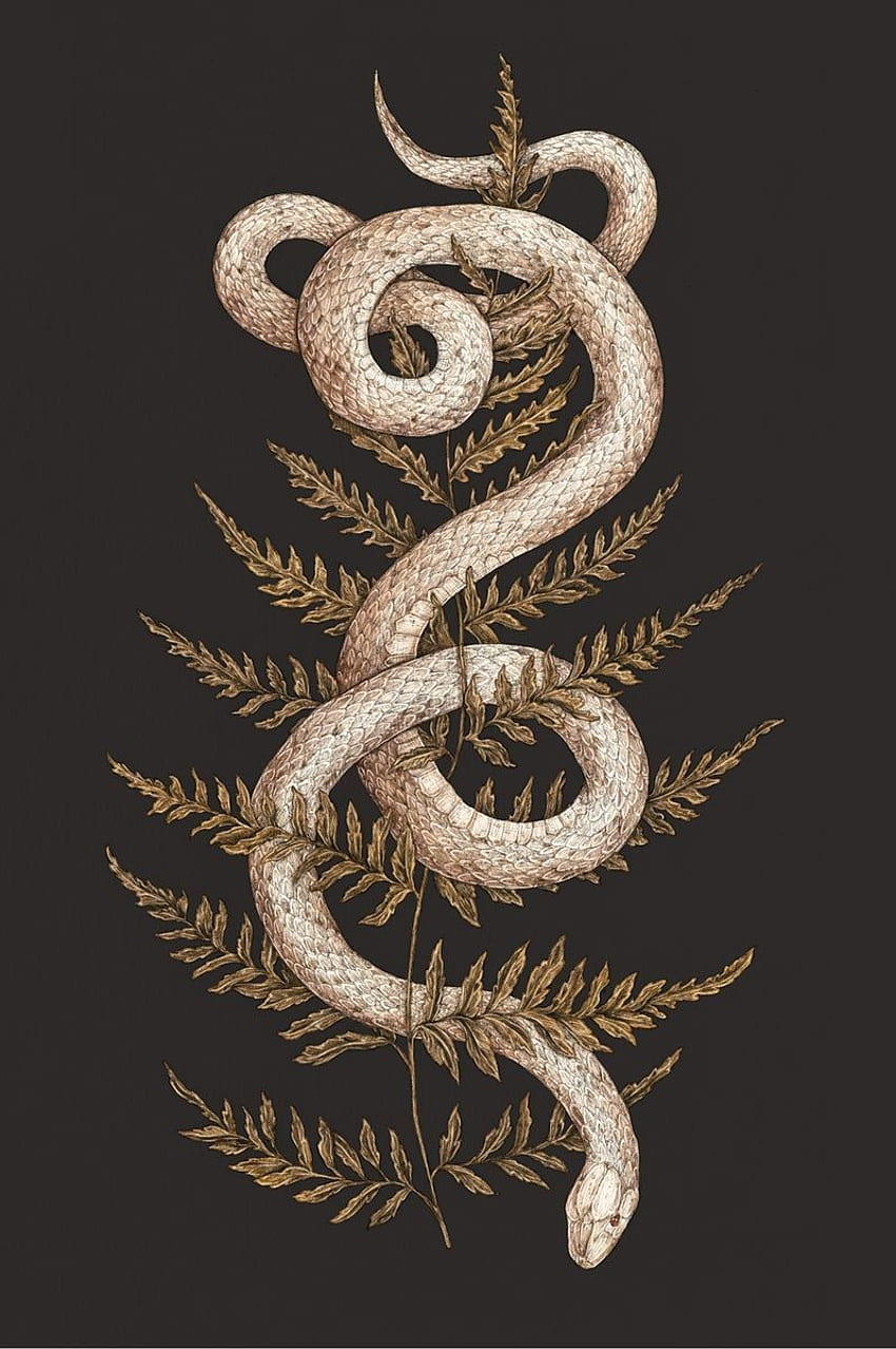 The Snake and Fern Print. Snake art, Snake drawing, Snake, Japanese Snake HD phone wallpaper