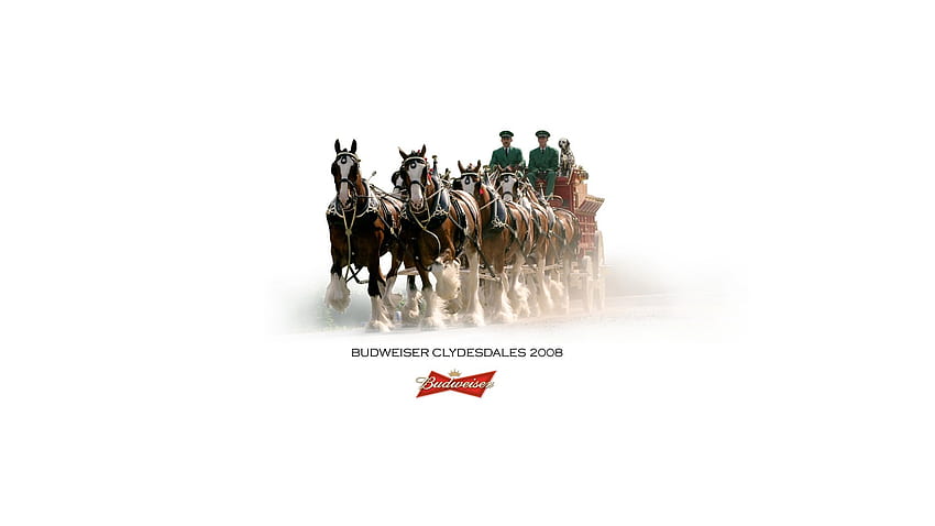 beer, Alcohol, Drink, Poster, Horse, Horses / and Mobile Background, Budweiser Clydesdales HD wallpaper