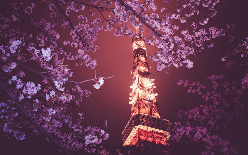 Stunning Tokyo, Tokyo Purple HD wallpaper