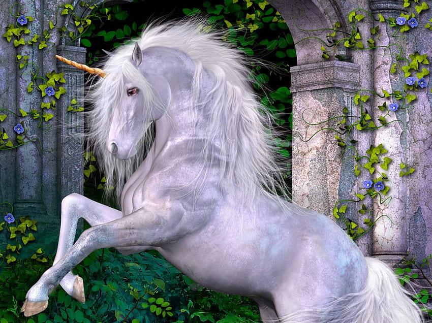 Licorne, cheval, nature, fantaisie Fond d'écran HD