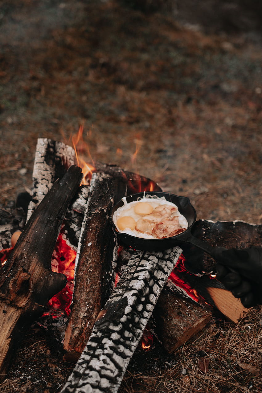 Nature, Bonfire, , , Campsite, Camping, Breakfast HD phone wallpaper