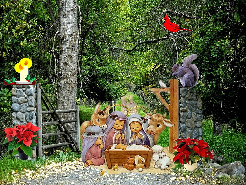 Jesus Christus unter uns, Gott, Weihnachtsstern, Baum, Religion, Christentum, Feiertag, Weihnachten, Kardinal, Jesus Christus HD-Hintergrundbild