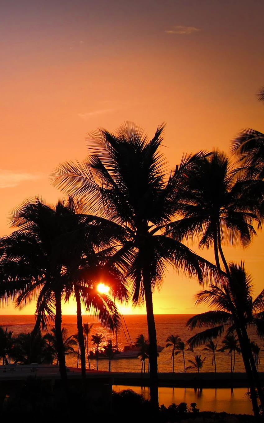 Palms, Sunset, Hawaii, Tropics, Ocean, Horizon Samsung Galaxy Note Gt N7000, Meizu Mx2 Background, 800 X 1280 Hawaii HD phone wallpaper