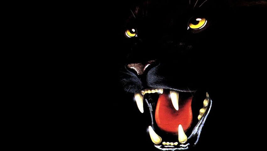 black panther, snarl, grunt, growl, roar HD wallpaper
