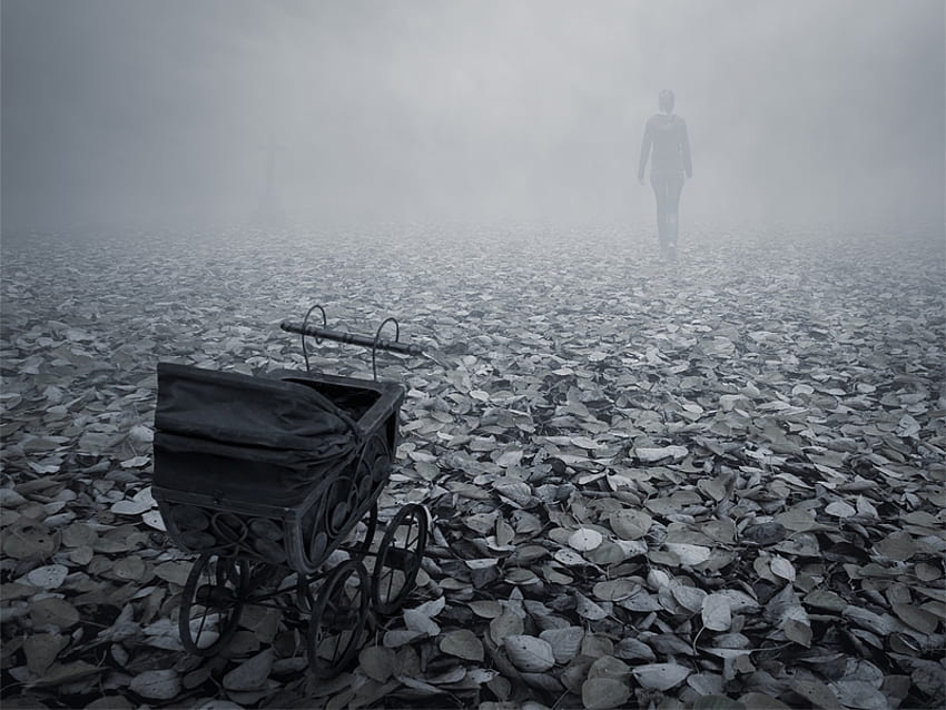 LOUD SILENCE, departure, expressive, bw, sad, prams, fog, anonymous, leafes, abstract, solitude HD wallpaper