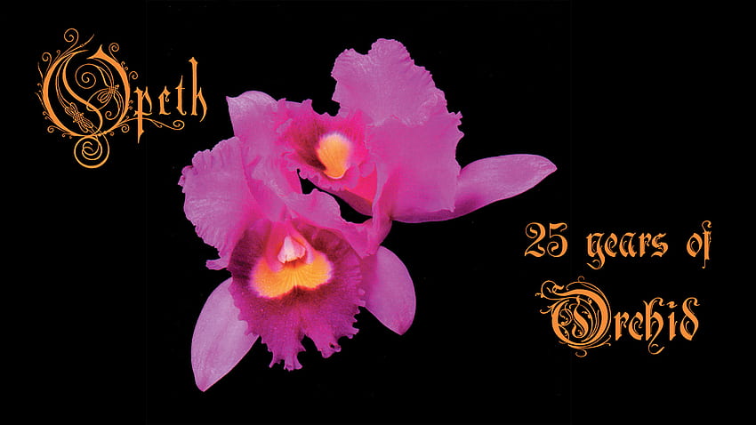 Como o Opeth ampliou o death metal com seu primeiro álbum Orchid, Opeth Still Life papel de parede HD