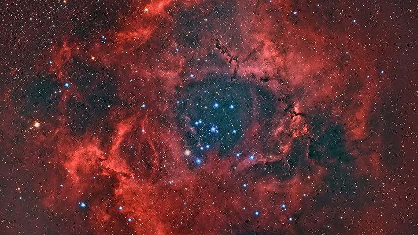 The Rosette Nebula [] HD wallpaper