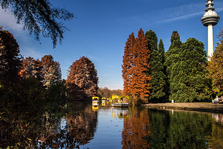 Nature, Trees, Autumn, Lake, Reflection, Park HD wallpaper