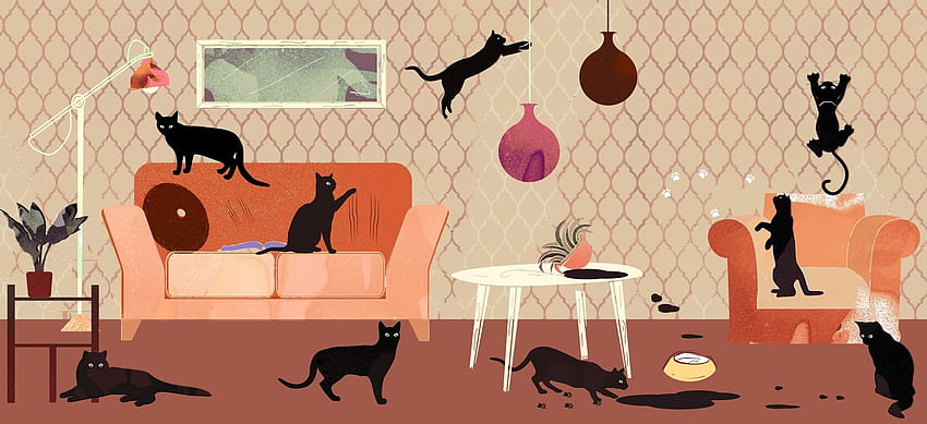 The cat's (or dog's) whiskers! Which are suitable for pet owners?. Blog. Inspiration, Modern Cat HD wallpaper