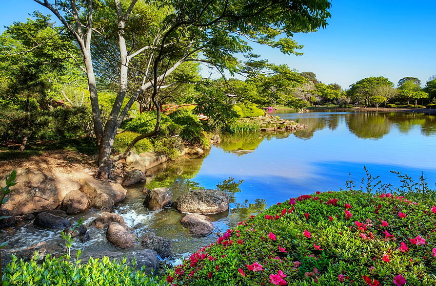 Spring pond, beautiful, spring, serenity, tree, lake, summer, wildflowers, reflection, bridge, calmness, pond HD wallpaper