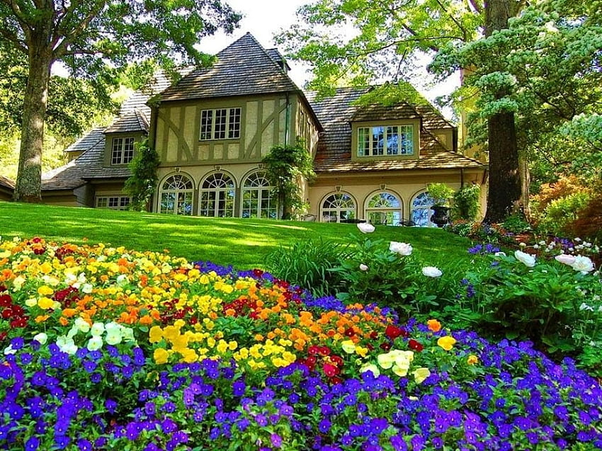 Wiosenny ogród, bratki, kwiaty, drzewa, kolory, domek Tapeta HD